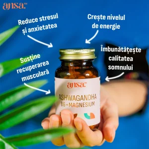ansa™ – Ashwagandha, hořčík, B6